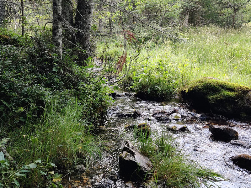 Excursió a la cascada del Gerber