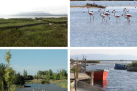 Delta de l'Ebre amb nens