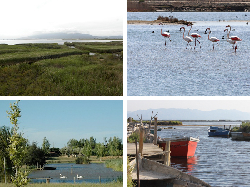 QUÈ FEM AMB NENS AL DELTA DE L'EBRE