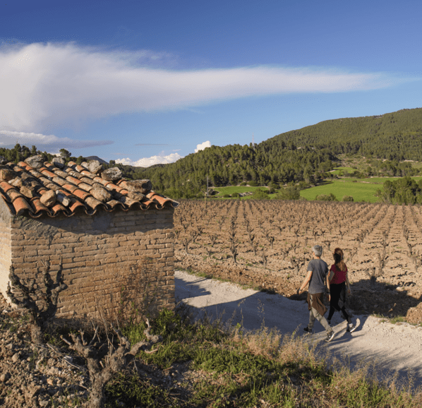 5 fuentes de la Anoia