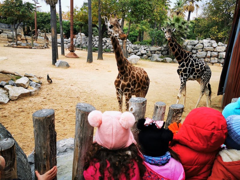 Zoo de Barcelona