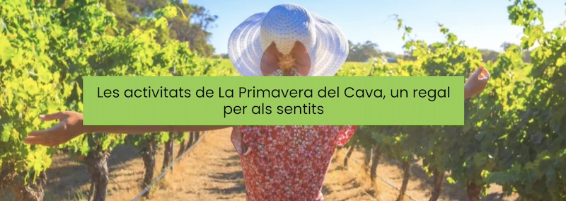 primavera del cava