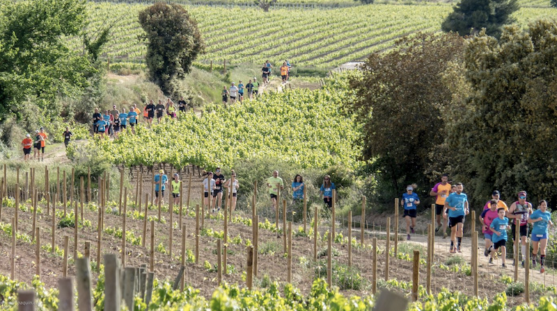 primavera del cava