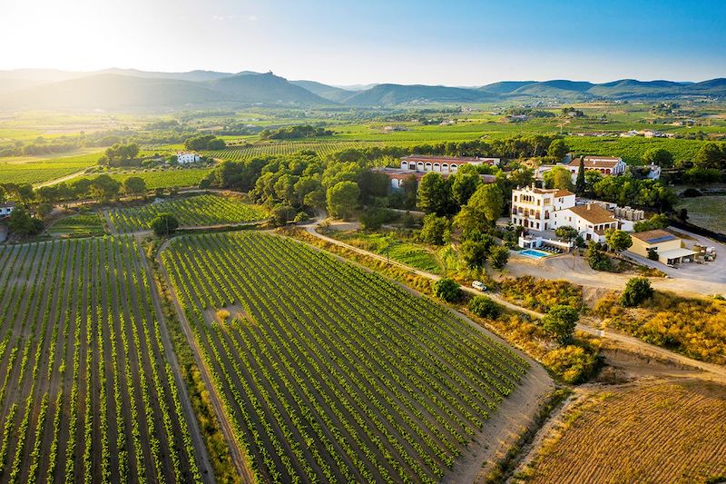 primavera del cava