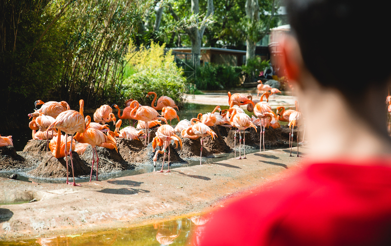 Zoo de Barcelona