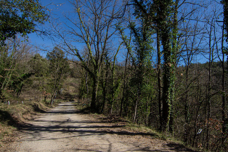 excursión a Alpens con niños