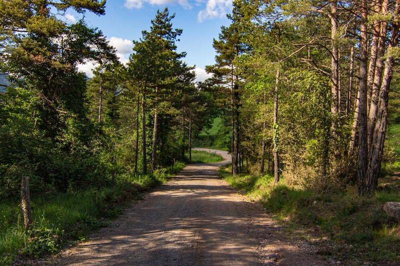 excursión a L'Alou con niños