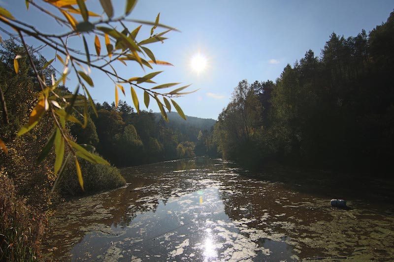 excursió a L'Alou amb nens