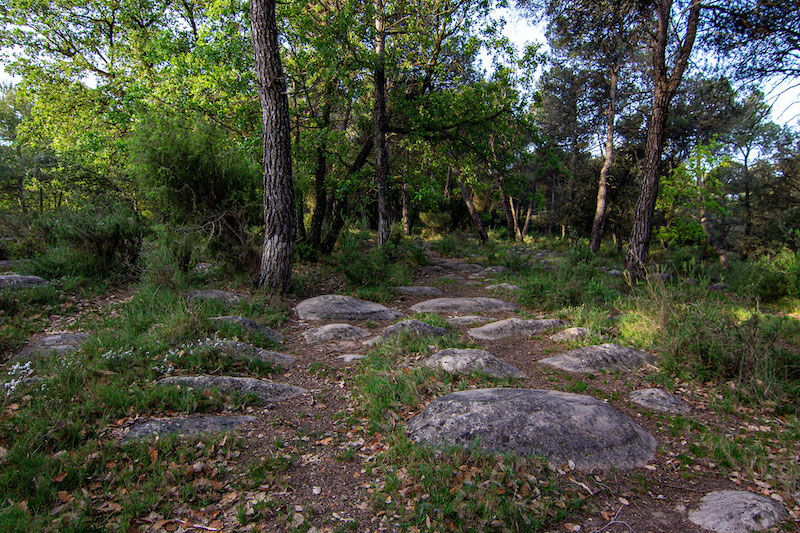 excursió amb nens Torre d'Oristà