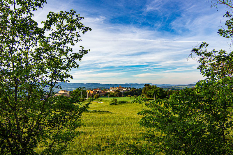 excursió amb nens Torre d'Oristà