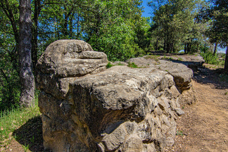 excursions a Lluçà amb nens i nenes