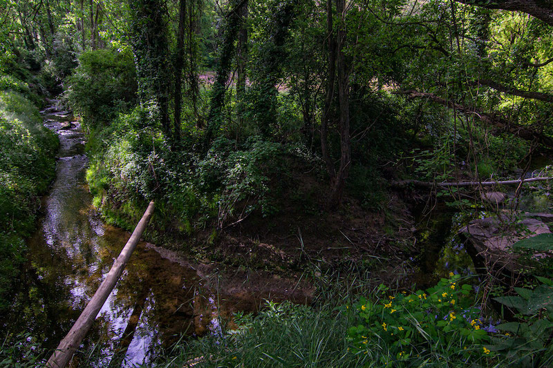 excursiones en Olost con niños y niñas