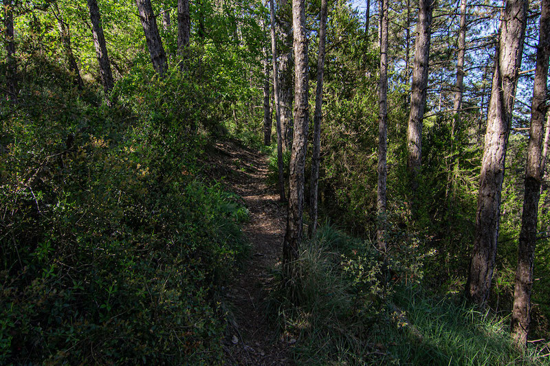 excursions a Oristà amb nens i nenes