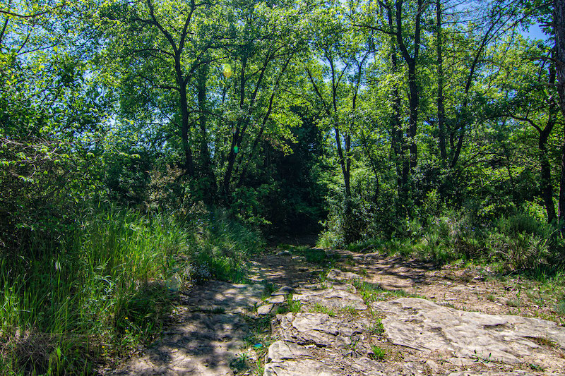 excursions a Oristà amb nens i nenes