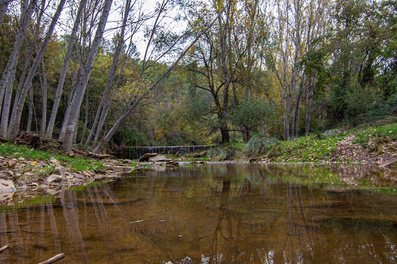 excursions a Oristà amb nens i nenes