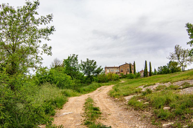 excursiones en Perafita con niños y niñas