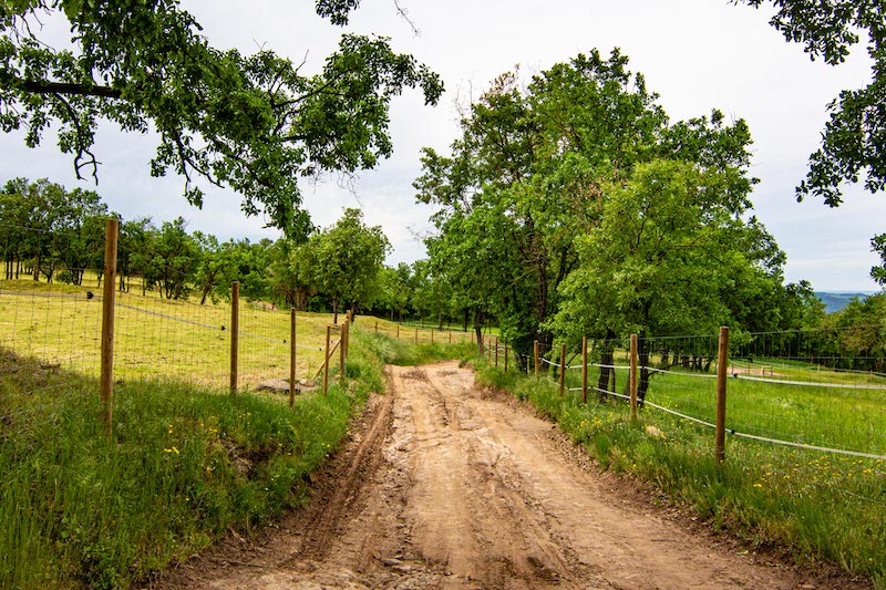 excursiones en Perafita con niños y niñas