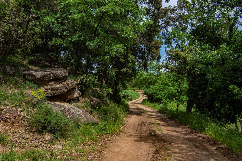 excursiones en Perafita con niños y niñas