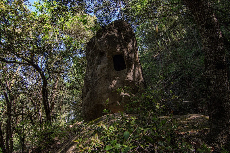 excursiones en Prats de Lluçanès con niños y niñas