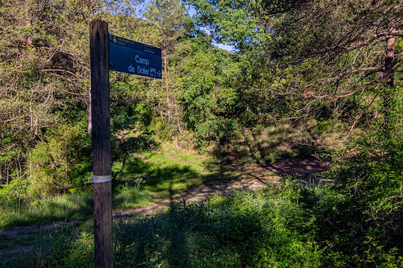 excursions a Prats de Lluçanès amb nens i nenes