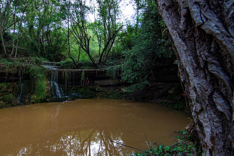 excursions a Prats de Lluçanès amb nens i nenes