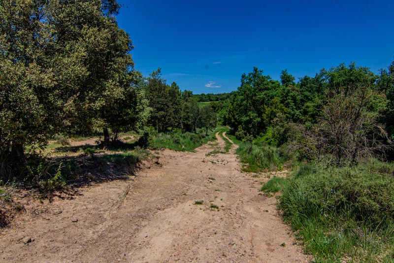 excursions a Prats de Lluçanès amb nens i nenes