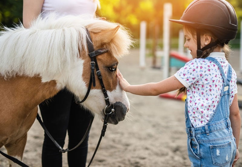 actividades con animales tarragona para hacer con niños