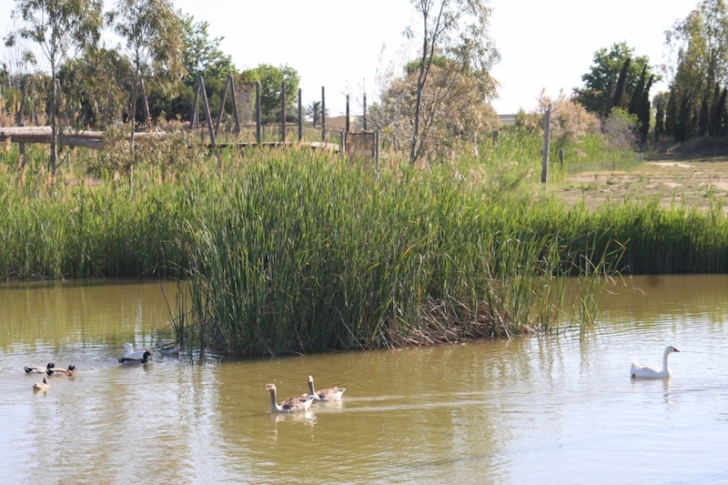 actividades con niños animales tarragona