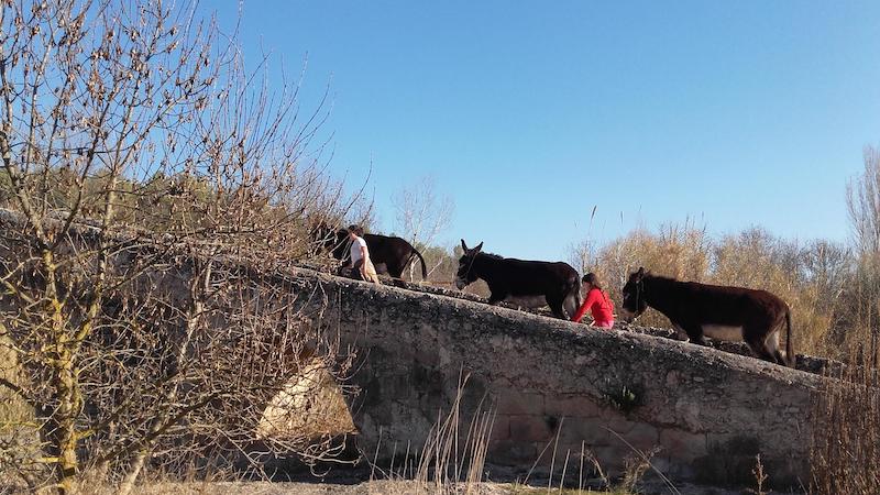 actividades con animales tarragona para hacer con niños