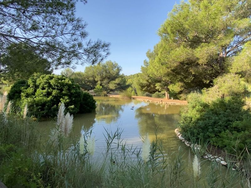 barbacoas en cataluña