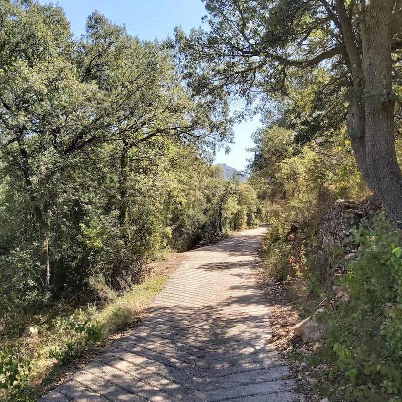 excursio a la font de la llúdriga amb nens