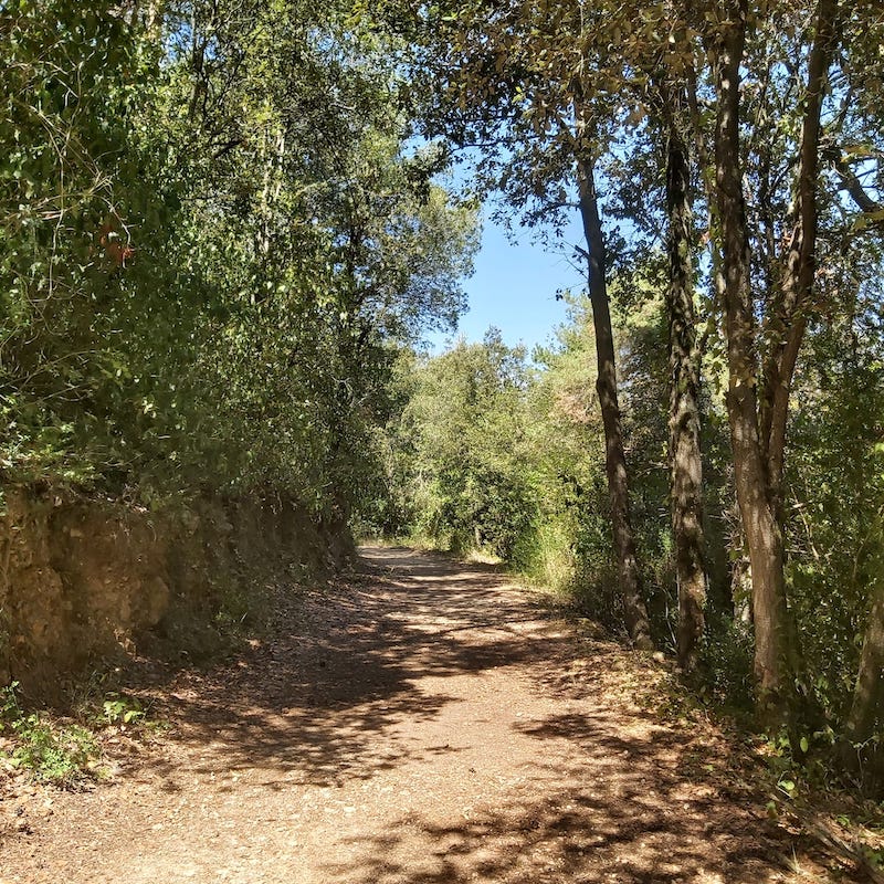 excursio a la font de la llúdriga amb nens