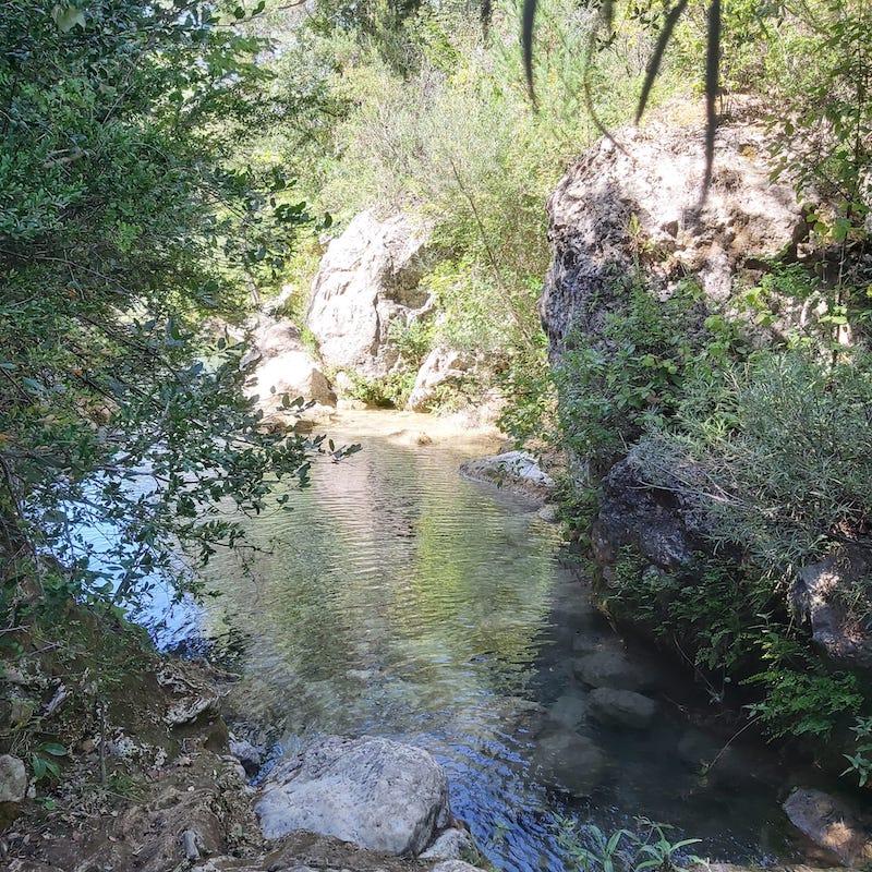 excursion a la fuente de la llúdriga con niños