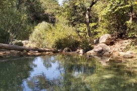 excursio a la font de la llúdriga amb nens