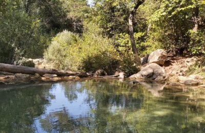 excursio a la font de la llúdriga amb nens