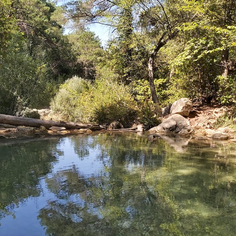 excursio a la font de la llúdriga amb nens