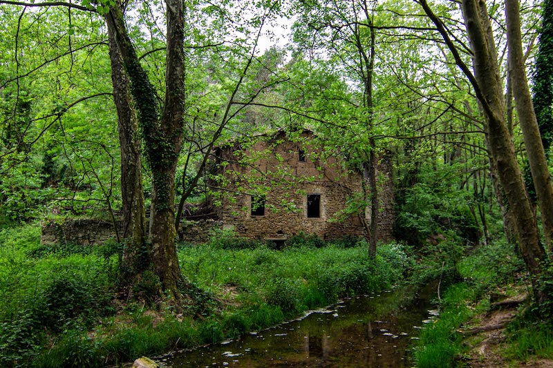 excursions a sant bartomeu de grau amb nens