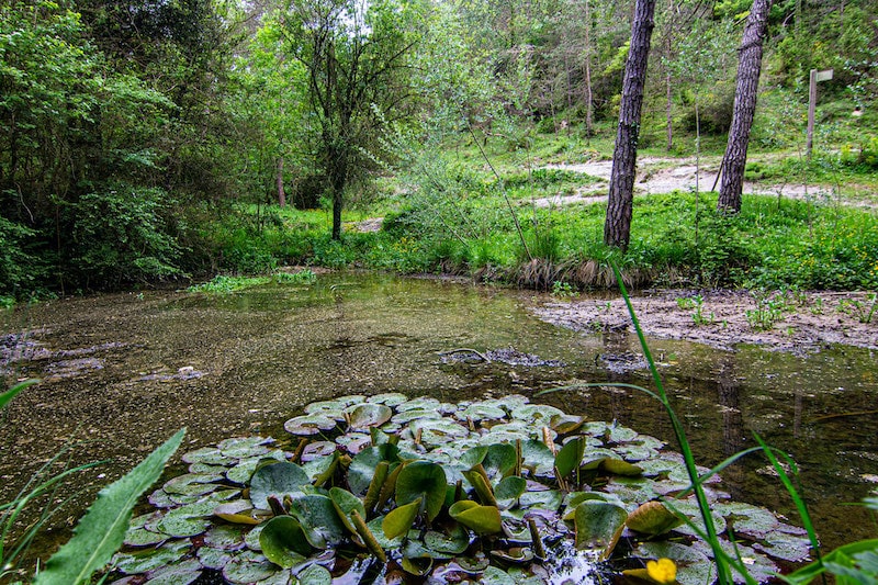 excursiones a sant bartomeu de grau con niños