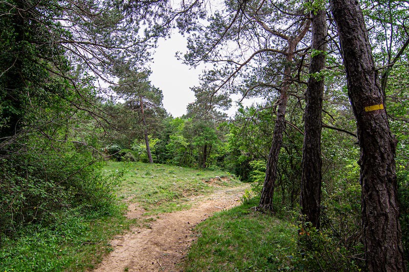 excursiones a sant bartomeu de grau con niños