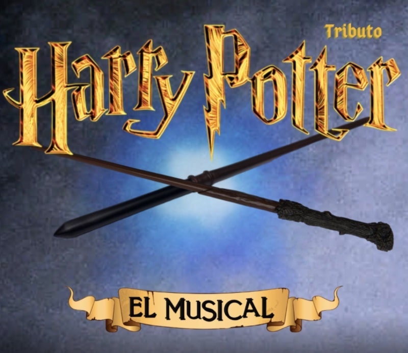 ESPECTACLES MUSICALS