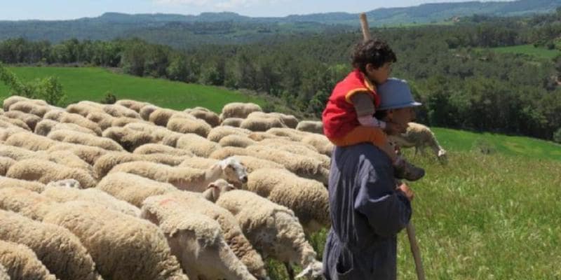 actividades en la Anoia en familia