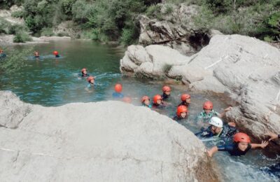 associació salsa jove activitats infantils