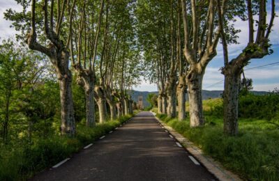 excursió a Santa Maria de Merlès amb nens i nenes