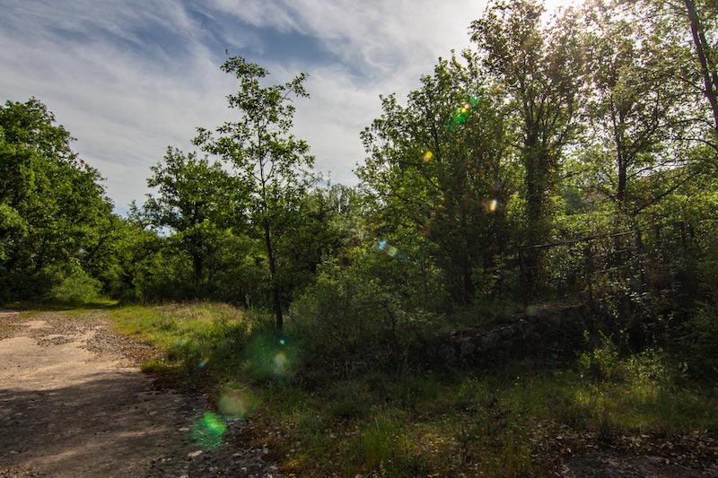 excursió a Santa Maria de Merlès amb nens i nenes