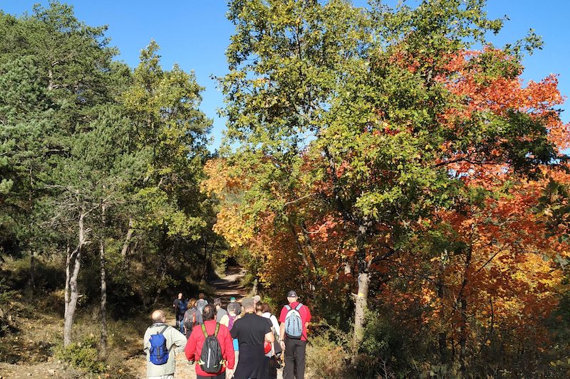 excursions Sant Boi de Lluçanès