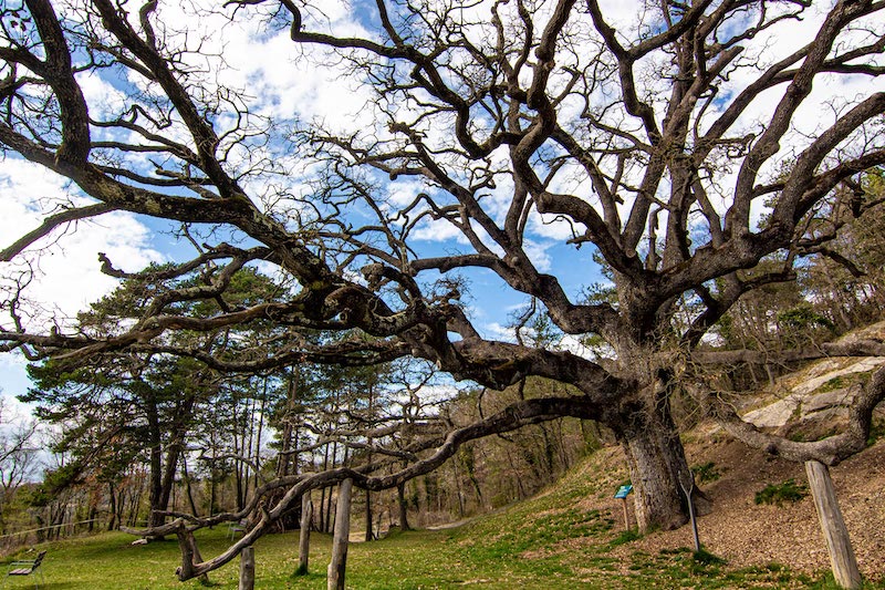 excursiones Sant Boi de Lluçanès