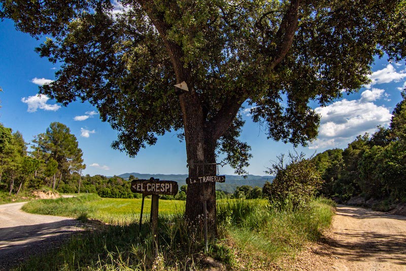 excursiones Sant Feliu Sasserra con niños y niñas