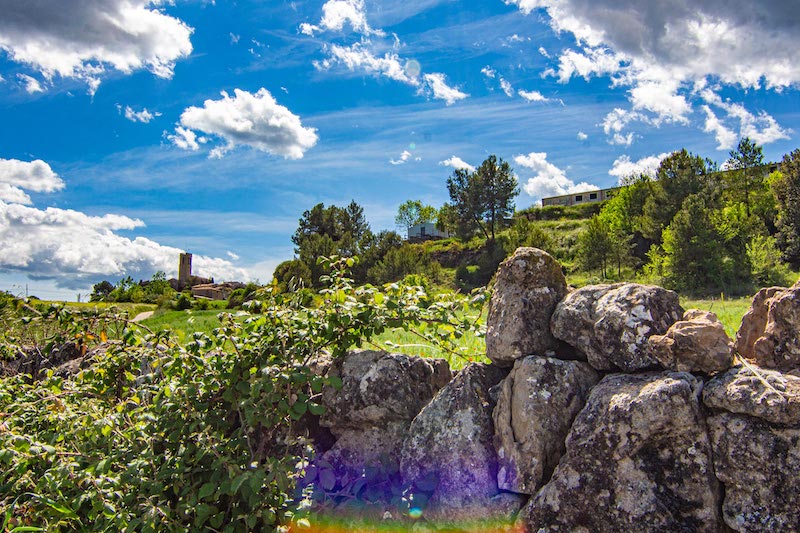 excursiones Sant Feliu Sasserra con niños y niñas