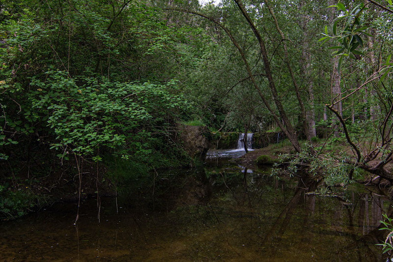 excursiones en santa creu de jutglar con niños y niñas