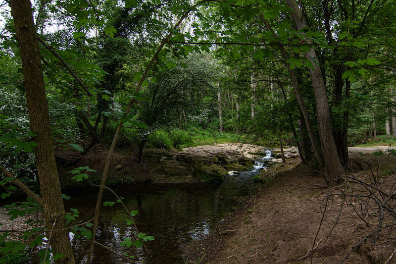 excursiones en santa creu de jutglar con niños y niñas